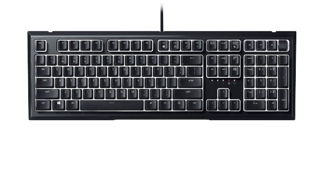 ornata v2 2020